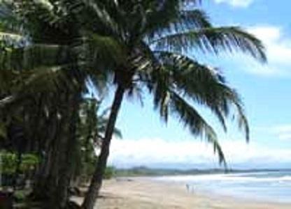Bolson Amatierra Retreat And Wellness Center酒店 外观 照片
