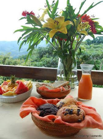 Bolson Amatierra Retreat And Wellness Center酒店 外观 照片